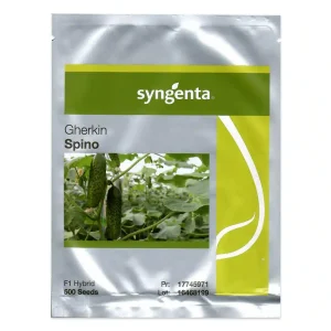 Seminte de castraveti Spino F1 Syngenta