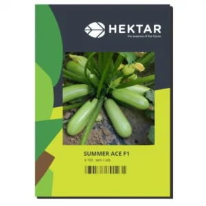 Seminte de dovleac Summer Ace F1 Hektar