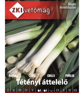 Seminte de ceapa Tetenyi Attelelo ZKI