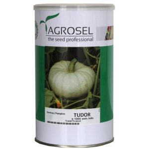 Seminte de dovleac Tudor Agrosel