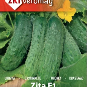 Seminte de castraveti Zita F1 ZKI