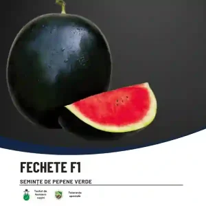 Seminte de pepene verde Fechete F1 - Hektar