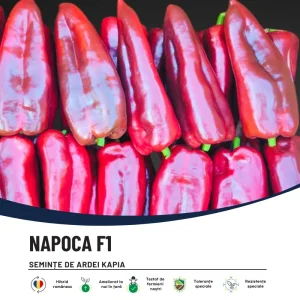 Seminte de ardei Napoca F1 - Hektar
