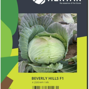 Seminte de varza Beverly Hills F1 - Hektar