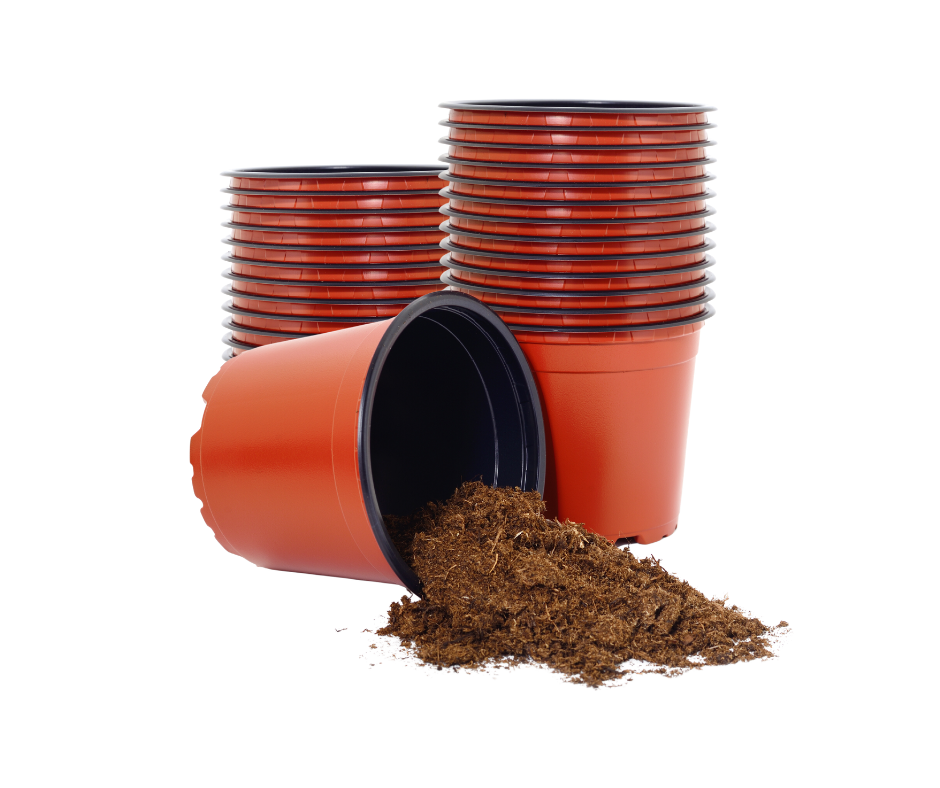 Ghivece de productie BLO