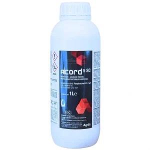 Acord